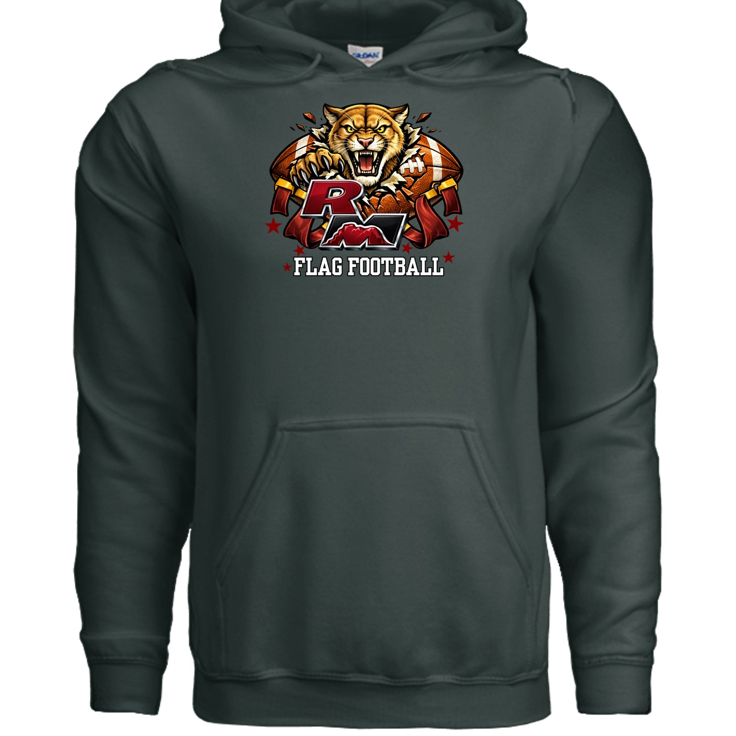 Fan Charcoal Heather - G185 - FRONT